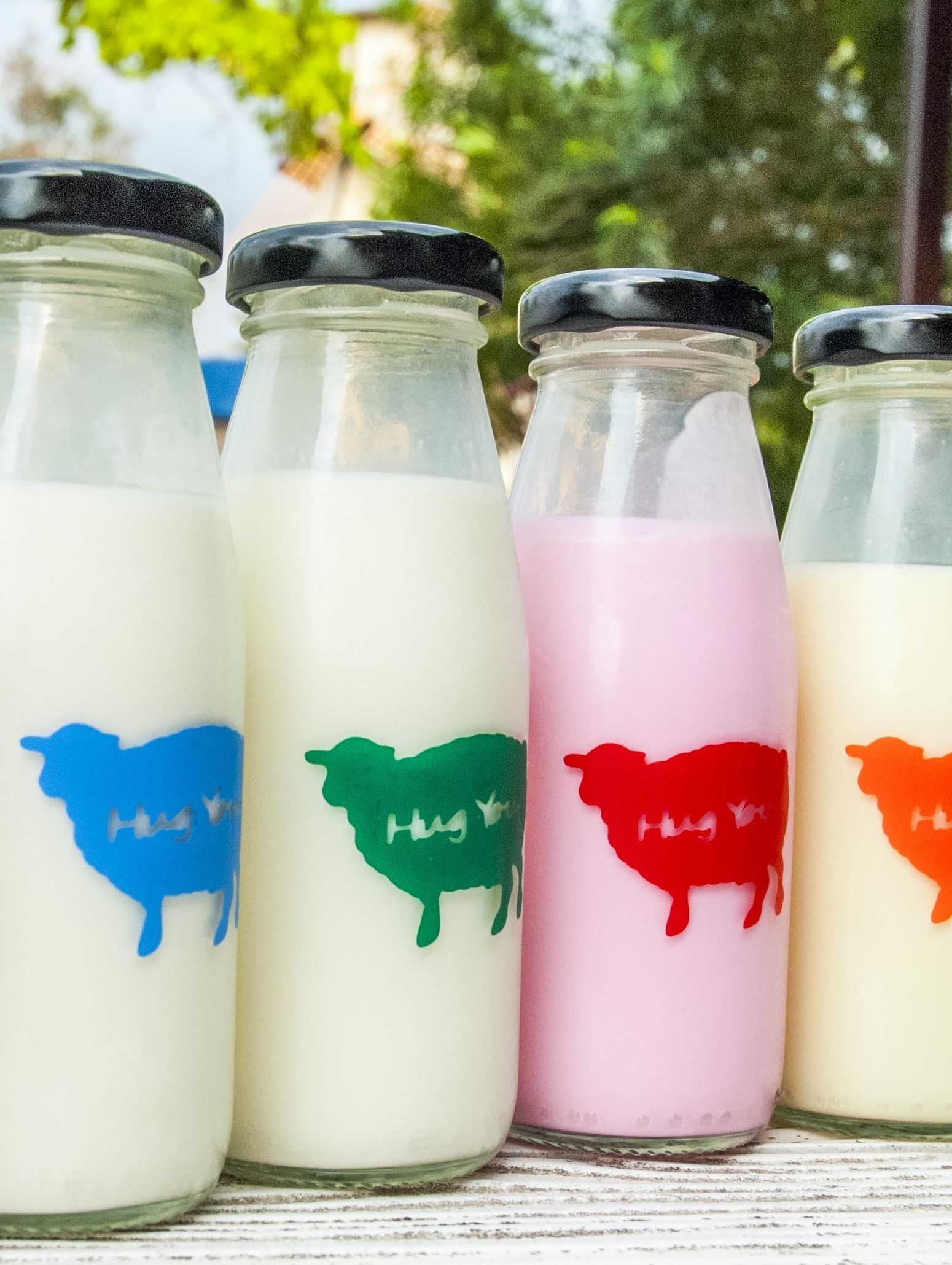 นมแกะหลากรส อร่อยดี มีประโยชน์ ที่ฟาร์มแกะฮักยู จุดแวะ ท่องเที่ยว ลำปาง ภาคเหนือ