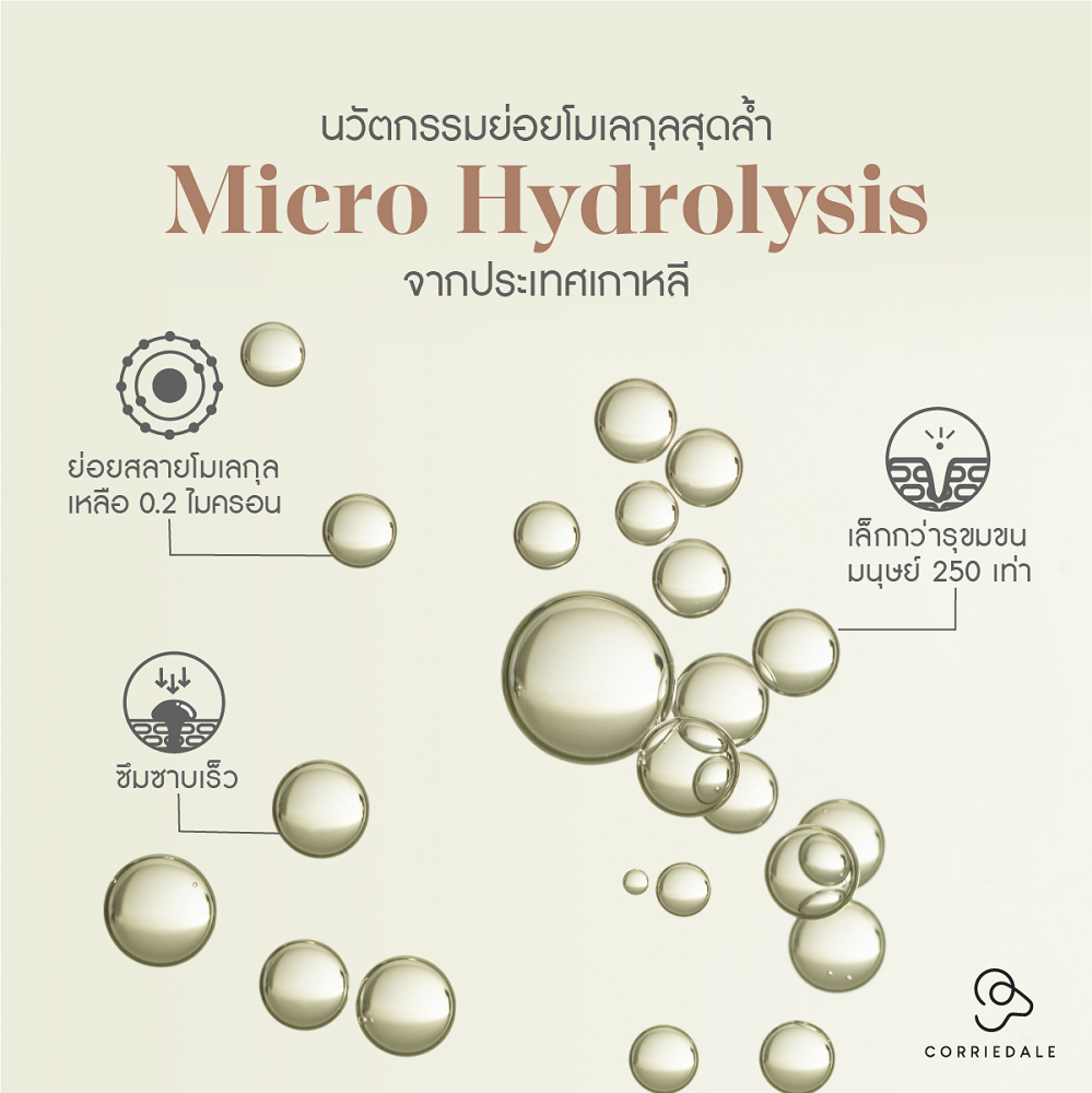 นวัตกรรมย่อยสลายโมเลกุลรกแกะ สุดล้ำ Micro Hydrolysis ย่อยสลายโมเลกุลรกแกะ ให้เล็กกว่ารูขุมขน 250 เท่า